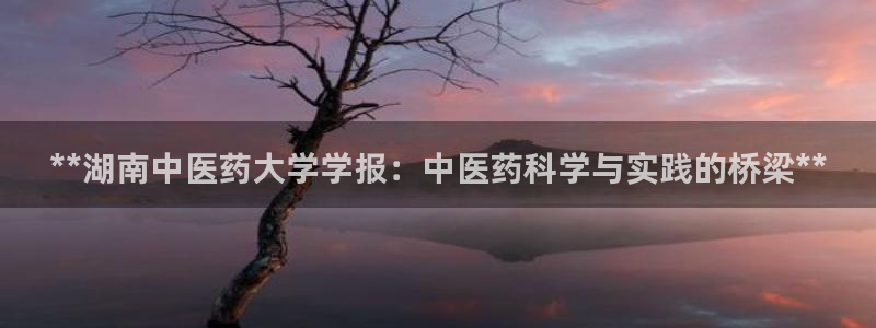9游会app