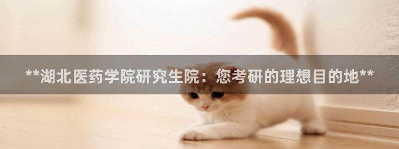 九游会网址多少