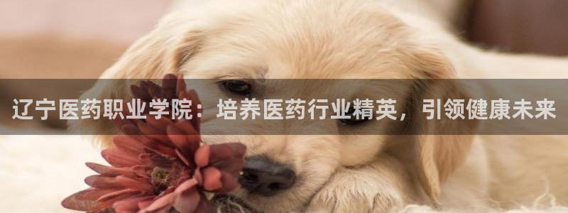 九游会游戏官方登录