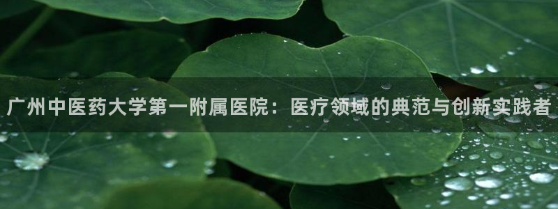 J9九游会国际站